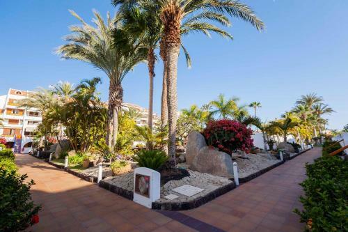 Apartamento Estudio 2 En Playa De Las Americas