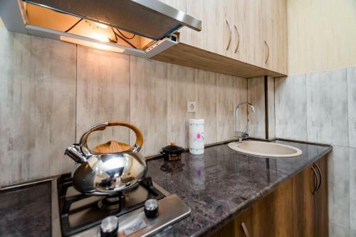 Apartamento Hotel Horizont 12 Bakuriani