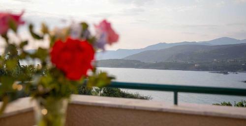 Aparthotel Remvi Hotel - Apartments