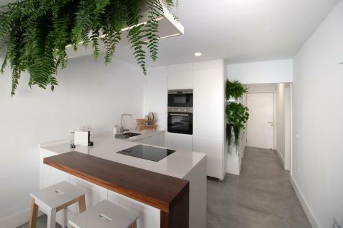 The Apartment Above The Sea