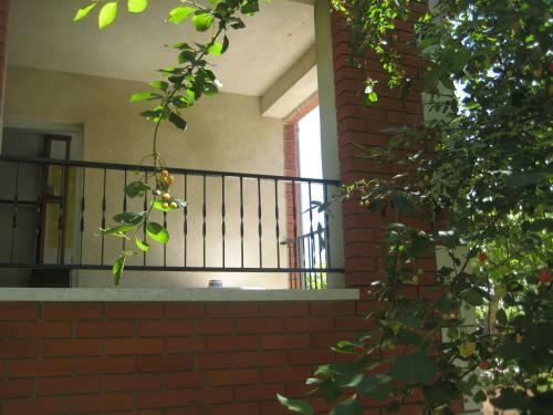 Apartamentos House Kate