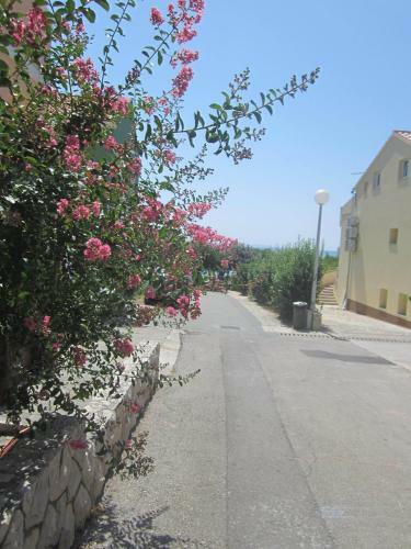 Apartments Ana
