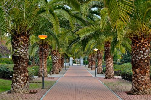 Apartamento Benalmadena Seafront Top Floor Studio
