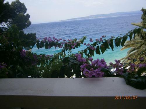 Apartamentos Guesthouse Seaview