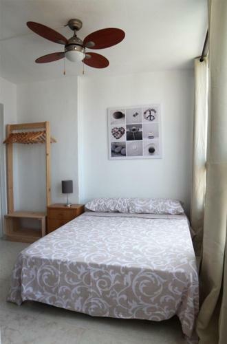 Apartamentos Domo Levante