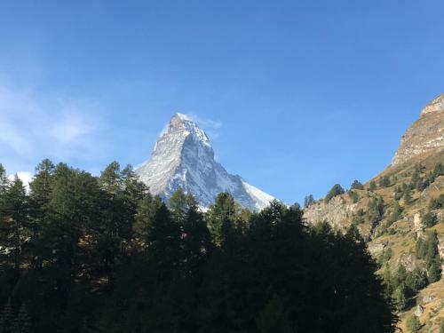 Chalet-style Apartment With Matterhorn View