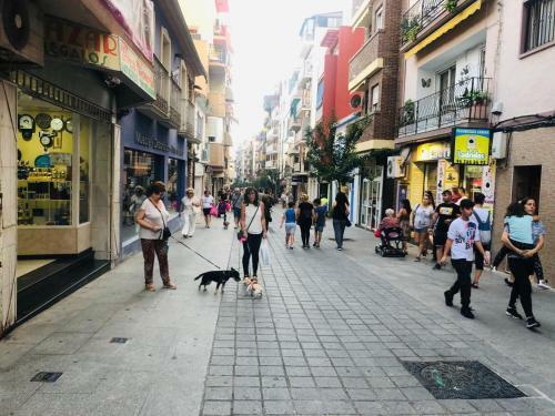 Apartamentos Pino Central