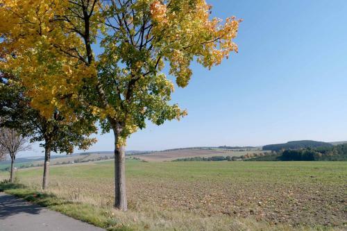 Apartamento Atelier Gr�nfink Ferienwohnung