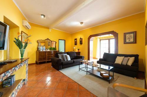 La Casa Del Aguacate, Avocado House
