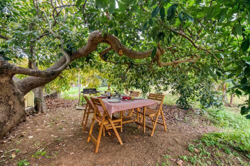 La Casa Del Aguacate, Avocado House