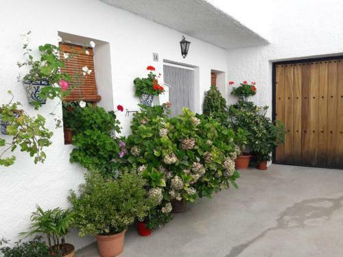 Apartamento Casa La Huerta