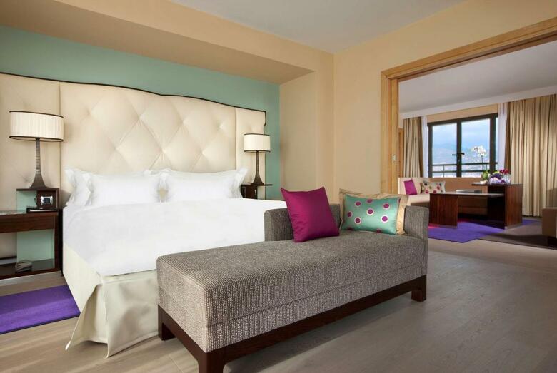 Hotel Hyatt Regency Nice Palais De La M�diterran�e