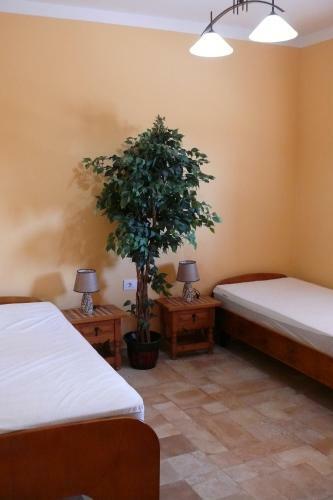 Apartamento Casa Del Sol Tenerife