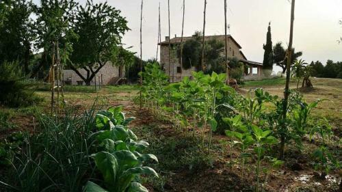 Hostal Casa Rural Restaurante Mas Del Rei