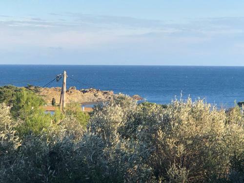 Maison de P�cheur Vue Mer, Grand Jardin