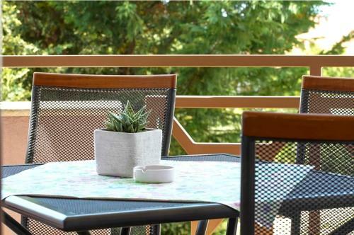 Hostal Apartments And Rooms Camaiore