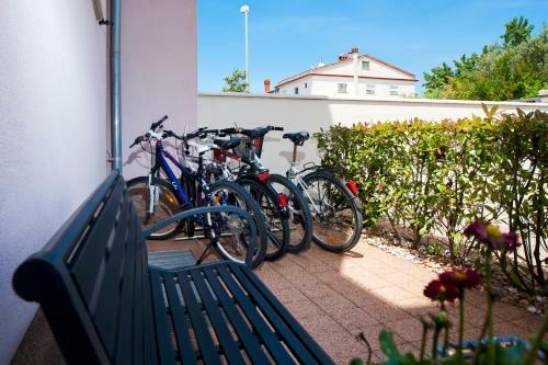 Hostal Apartments And Rooms Camaiore