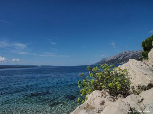 Bed & Breakfast Villa Petra