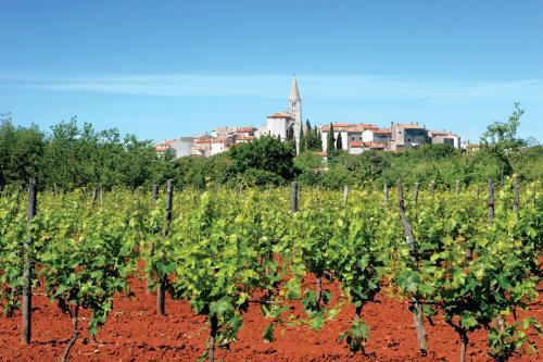 Hostal Holiday Home Bale - Valle