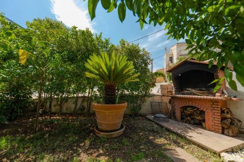Apartments Danica Trogir