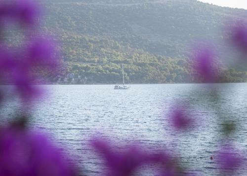 Apartamentos Villa Opatija