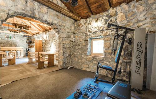 Holiday Home Plaski Janja Gora