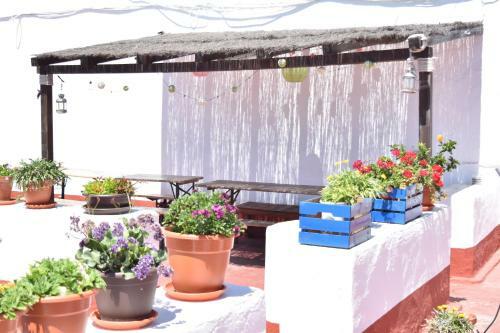 Apartamento La Discusi�n De Veedor 12