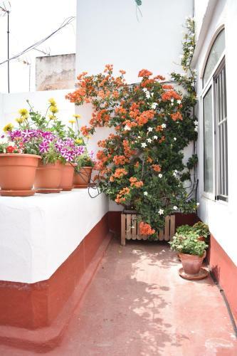 Apartamento La Discusi�n De Veedor 12