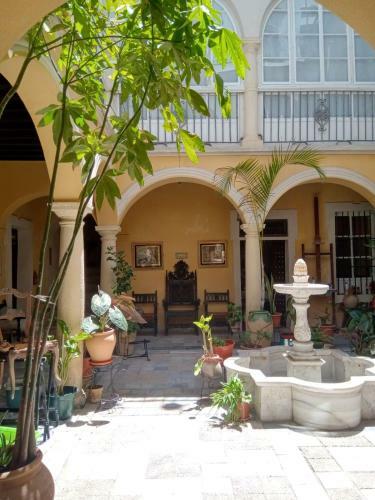 Casa Del Anticuario Apartments