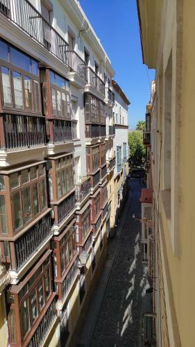Casa Del Anticuario Apartments