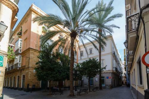 Cruise Adapted Apartment By Cadiz4rentals