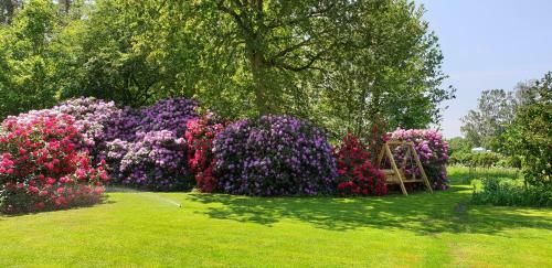 Ferienwohnungen Tewes