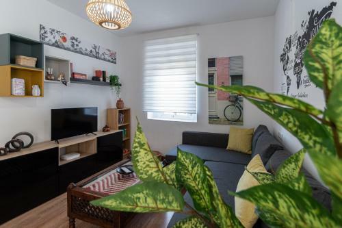 Apartamento El Sue�o de C�diz - City Center