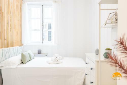 Apartamento Estudio Palma - Wifi - Petfriendly - Ecofriendly