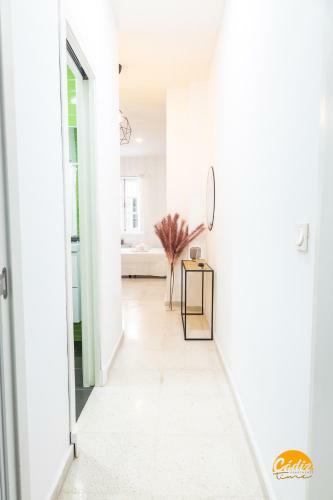 Apartamento Estudio Palma - Wifi - Petfriendly - Ecofriendly