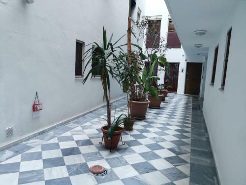 Apartamento Casa Viento De Levante