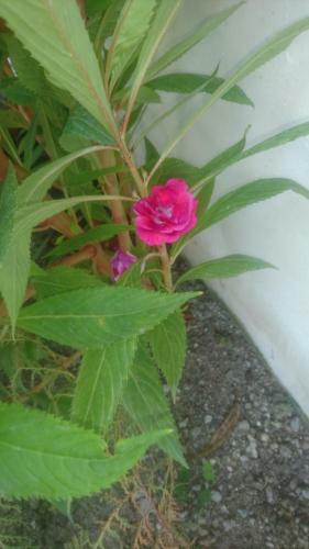 Hostal Equator Holiday Inn