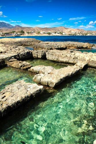Apartamento Frente Al Mar En El Campello