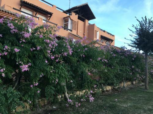 Apartamento Casares Vacations
