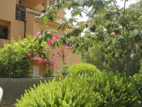 Apartament In Paraiso De La Bahia