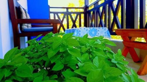 Hostal Pension Anastasia