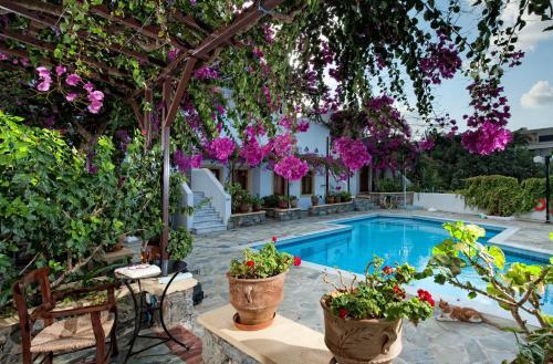 Apartamento Villa Diktynna