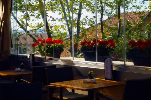 Marine House Boutique Hotel