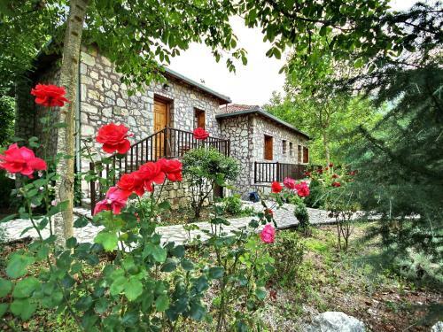 Apartamento Andrea Sofi Guesthouse