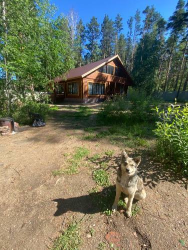Dobri Dom V Borovom