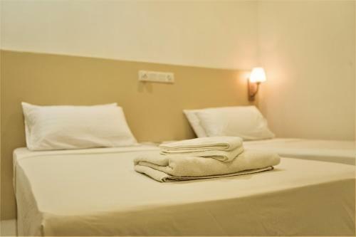 Hotel Nala Island Village