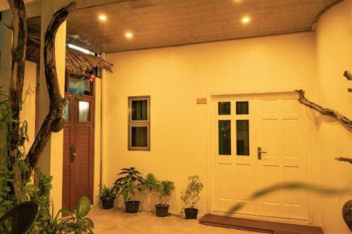 Hotel Nala Island Village