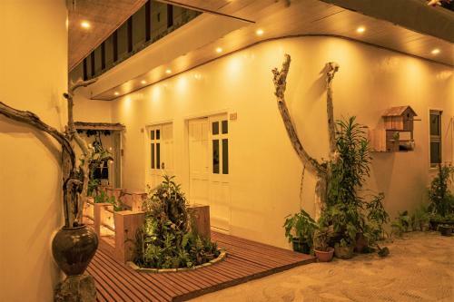 Hotel Nala Island Village