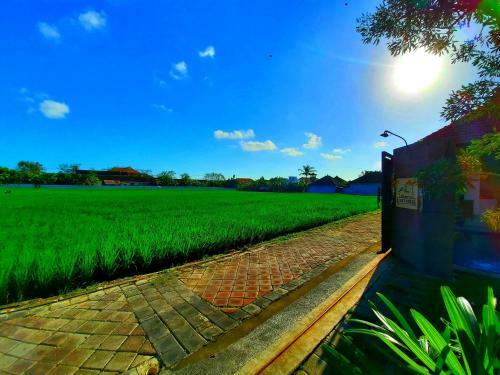 Hostal Mesare Guest House Canggu By Dwaraloka