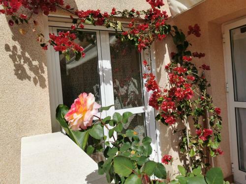Apartamentos Indo Loma Sancti Petri Gl
